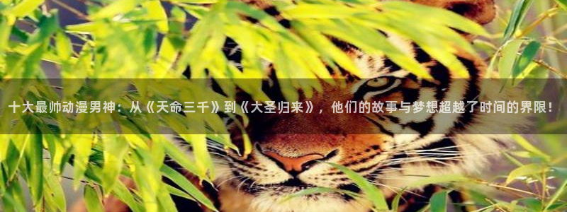 行业资讯